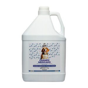 GALON CHAMPU RINTI 3.8LTS